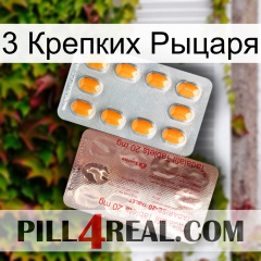 3 Крепких Рыцаря new13